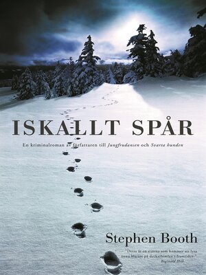 cover image of Iskallt spår